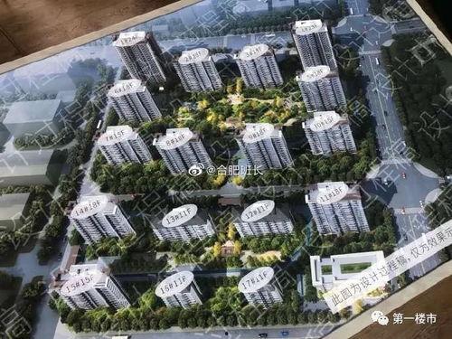 肥西楼市最新爆料消息